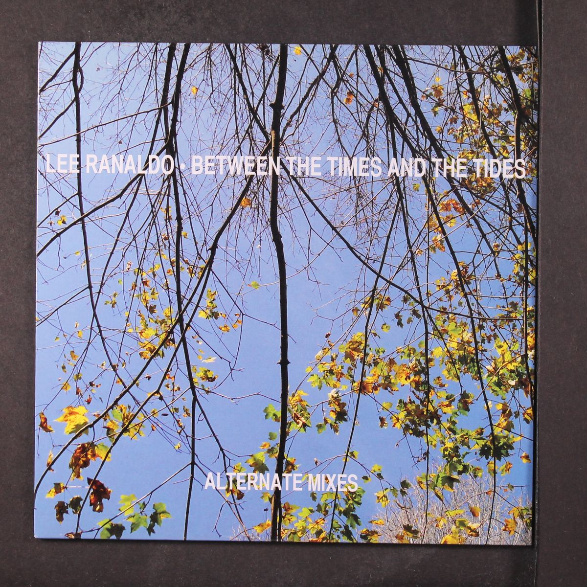 between the times and the tides alternate mixes by LEE RANALDO