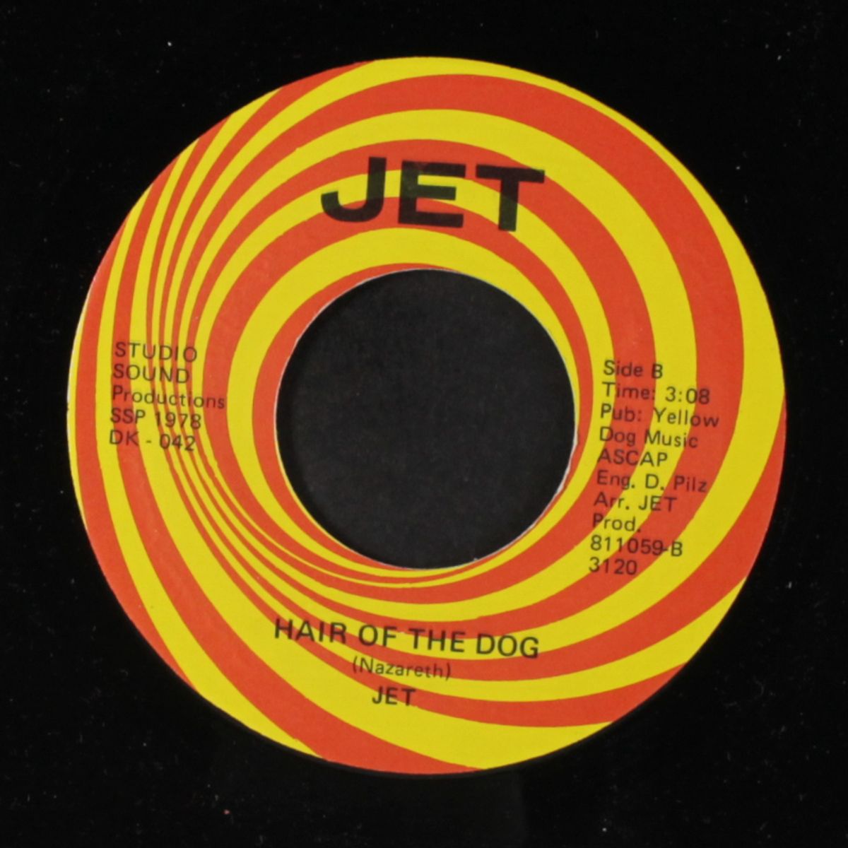 i need you / hair of the dog by JET