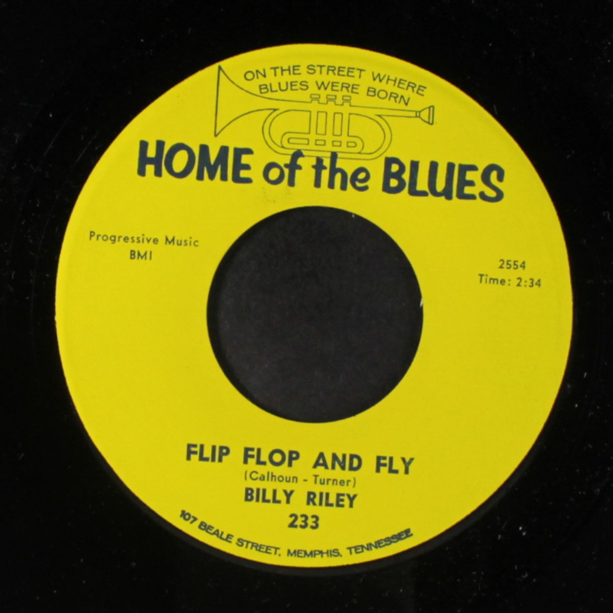 teenage letter / flip flop and fly by BILLY RILEY