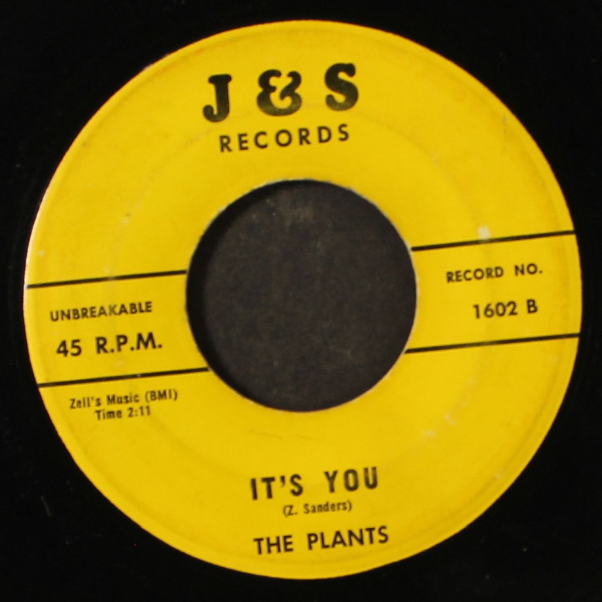 dear i swear / it's you by PLANTS