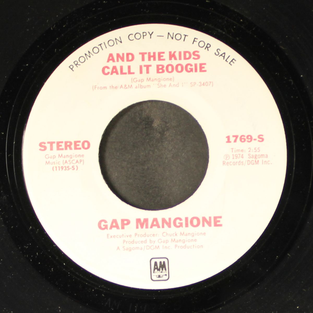and the kids call it boogie / mono by GAP MANGIONE