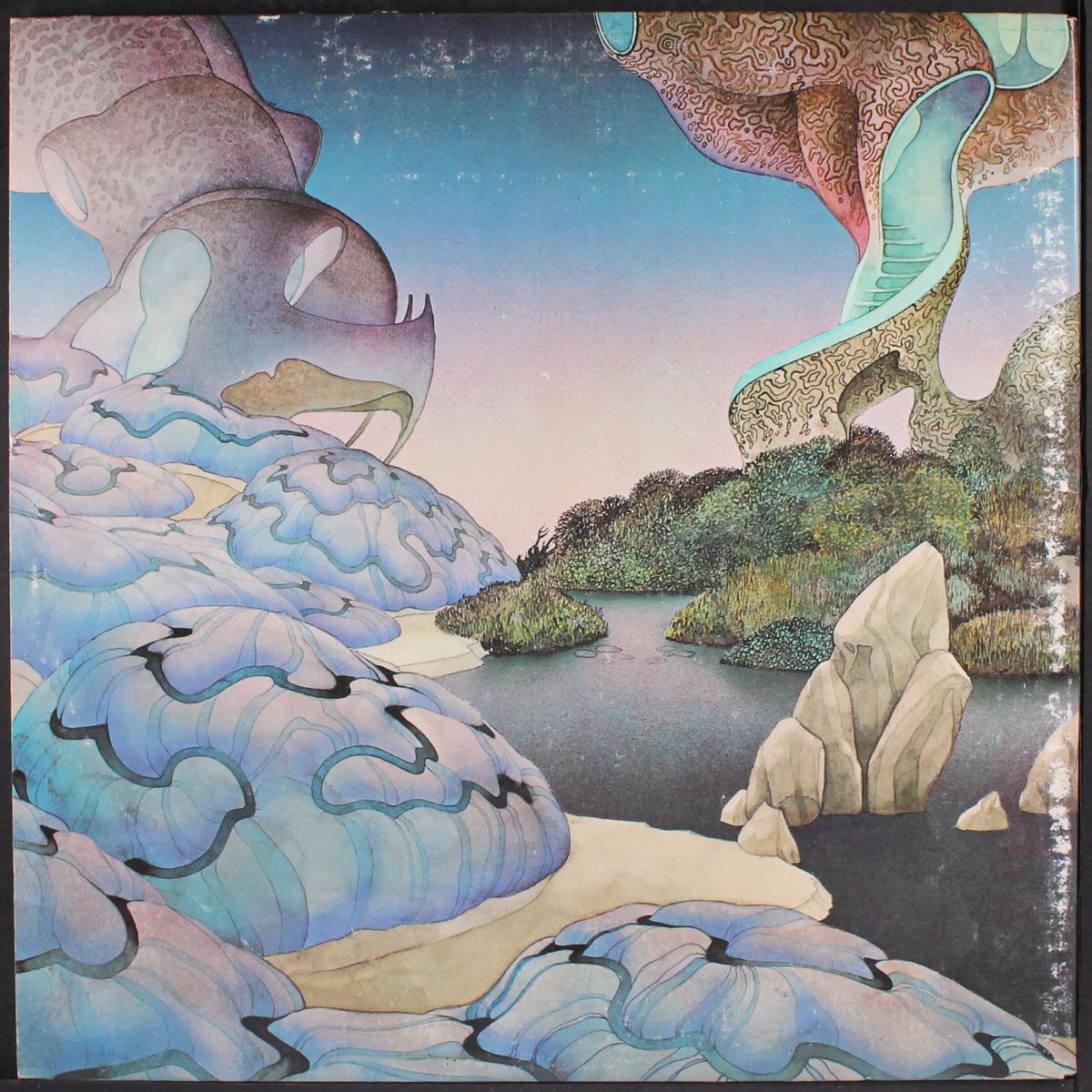 beginnings by STEVE HOWE