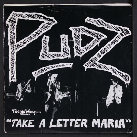 PUDZ