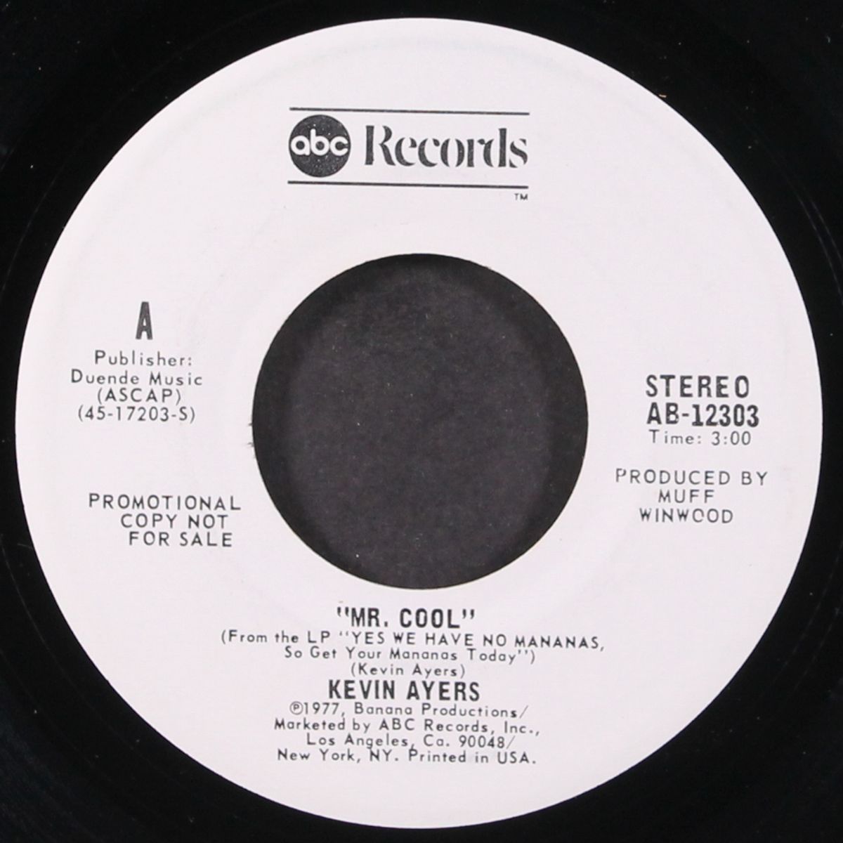 mr. cool / mono by KEVIN AYERS