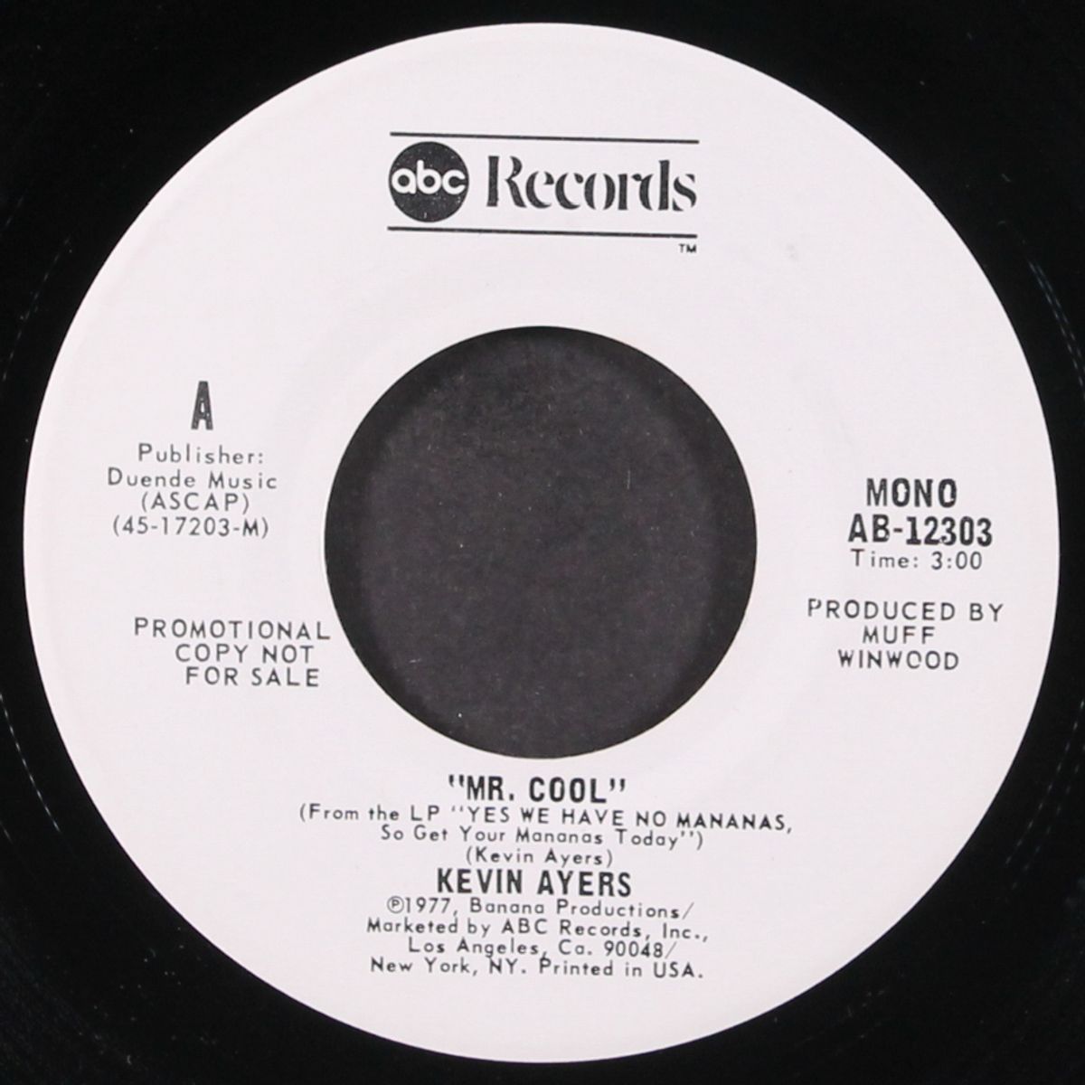 mr. cool / mono by KEVIN AYERS