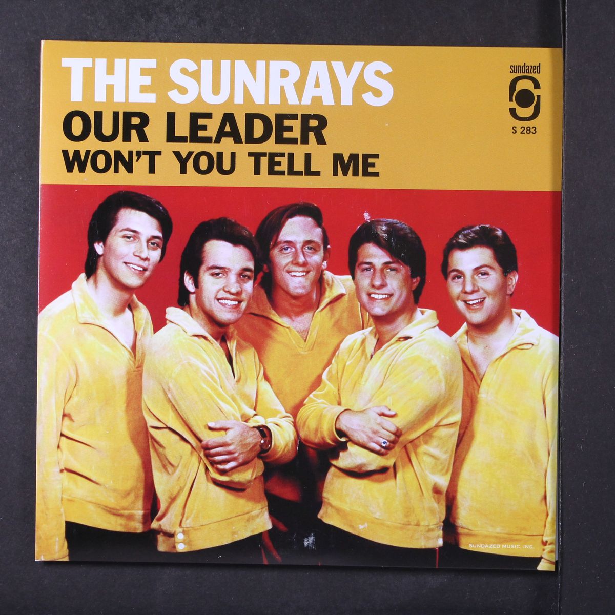 our leader / won't you tell me (demo) by SUNRAYS