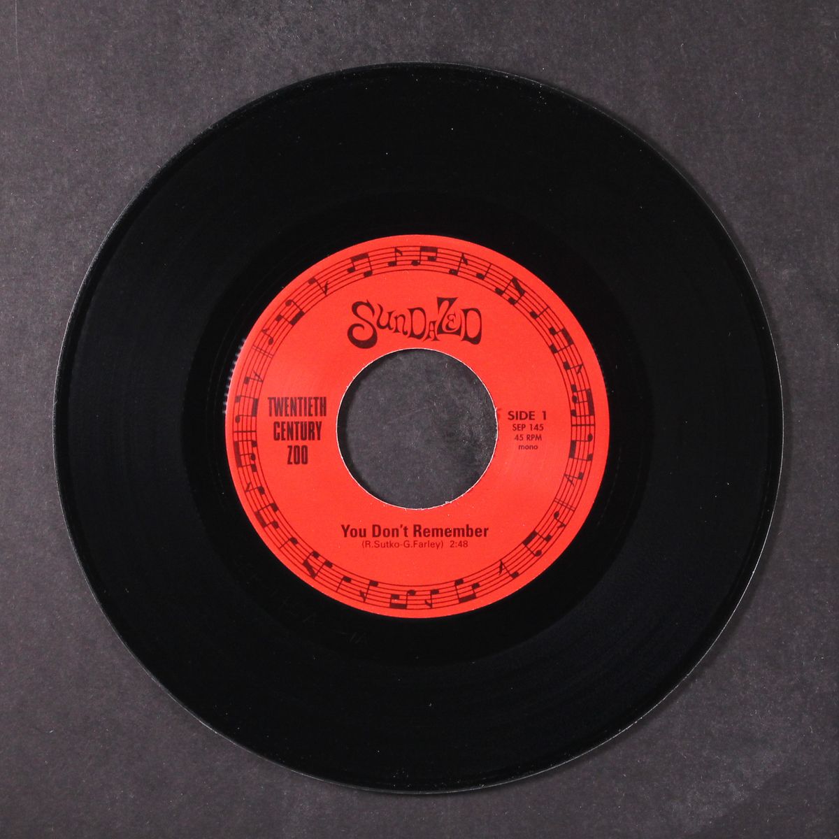 you don' t remember +2 by TWENTIETH CENTURY ZOO