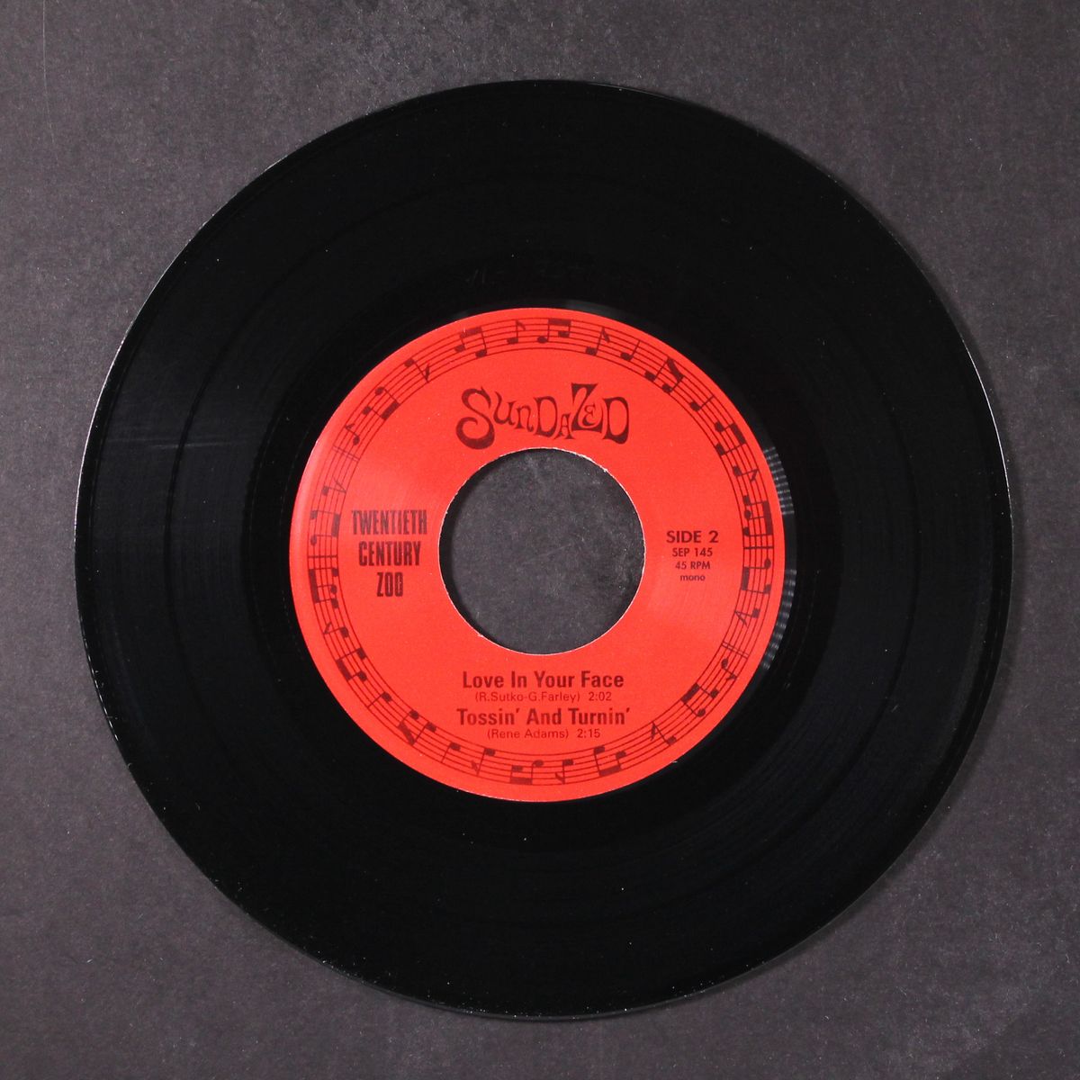 you don' t remember +2 by TWENTIETH CENTURY ZOO