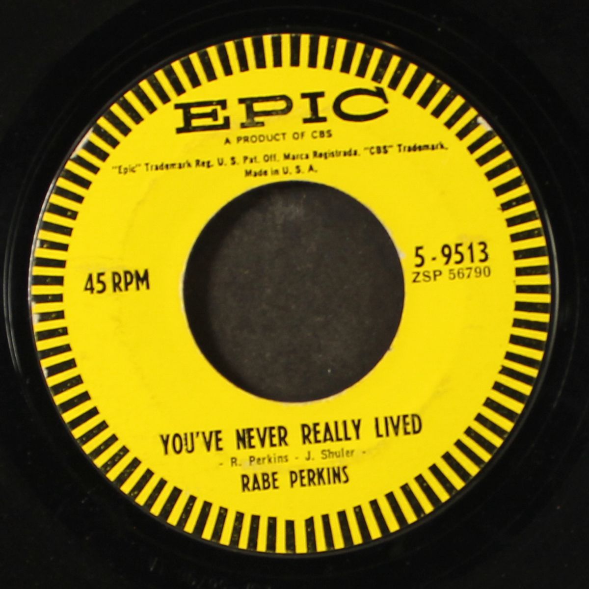 you've never really lived / these are all mine by RABE PERKINS