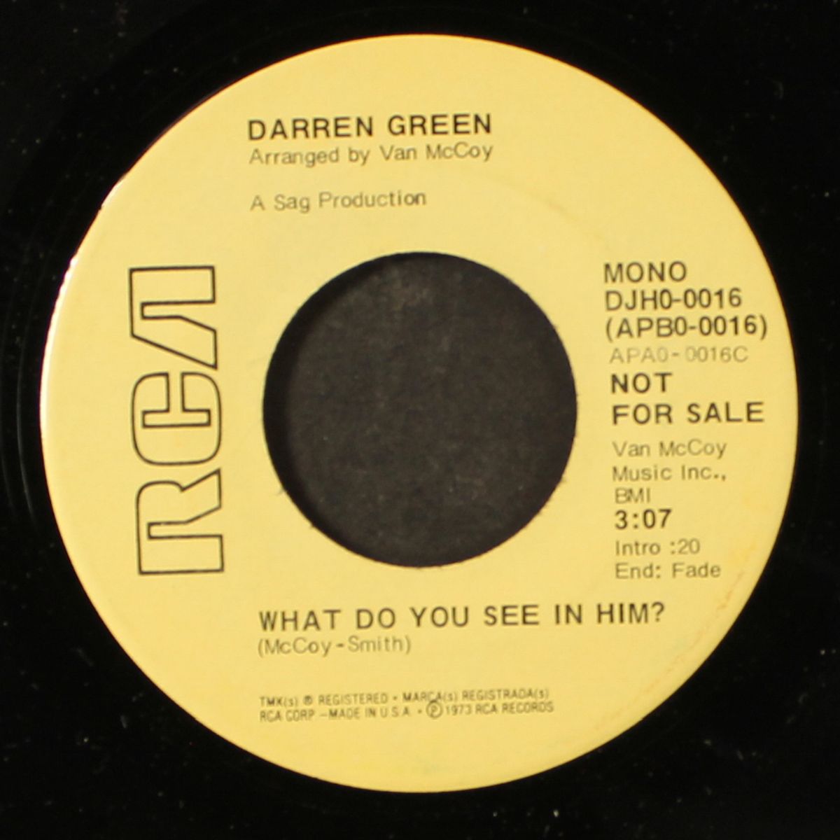what do you see in him? / mono by DARREN GREEN