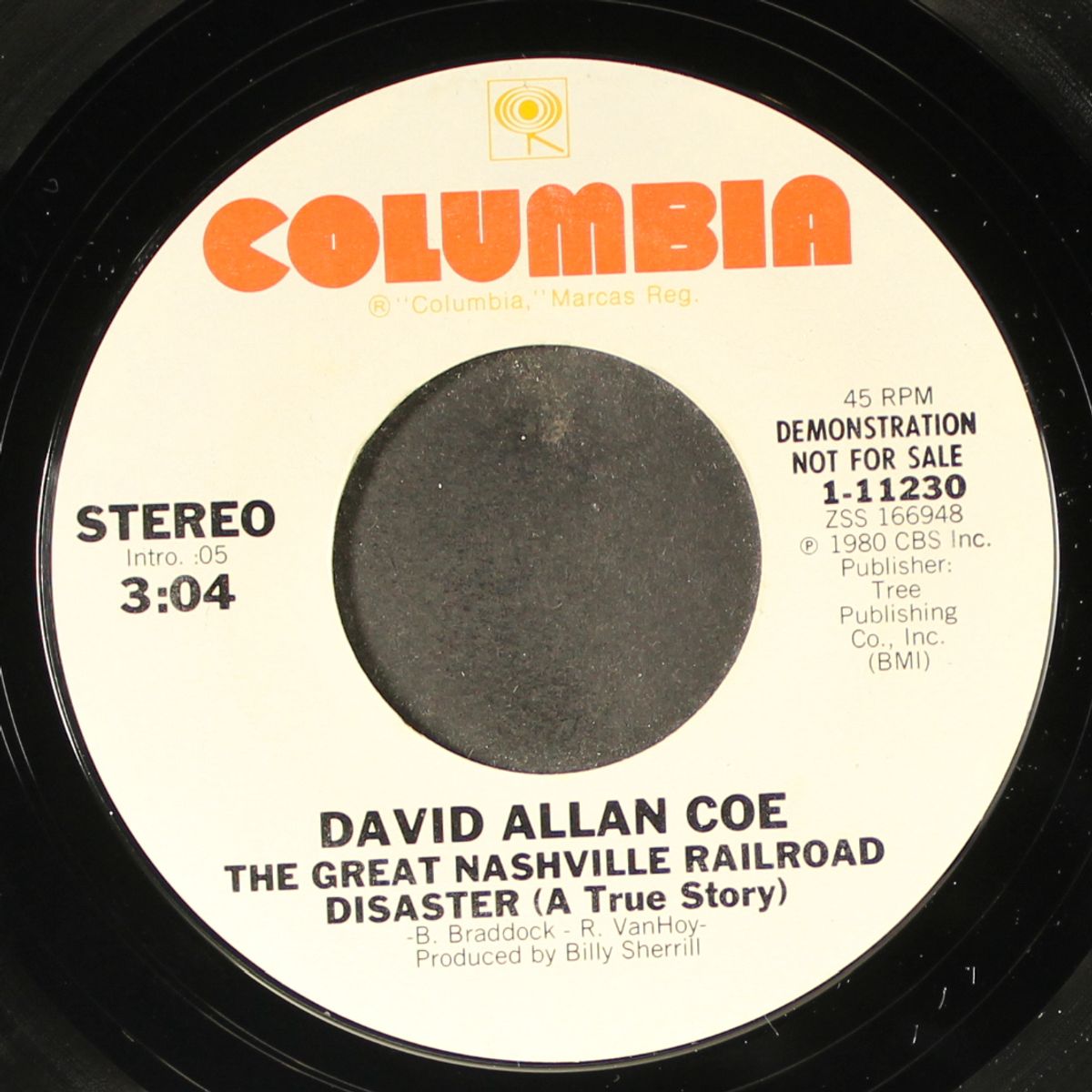the great nashville railroad disaster / same by DAVID ALLAN COE