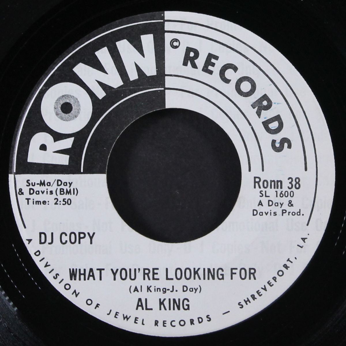 i can't understand / what you're looking for by AL KING