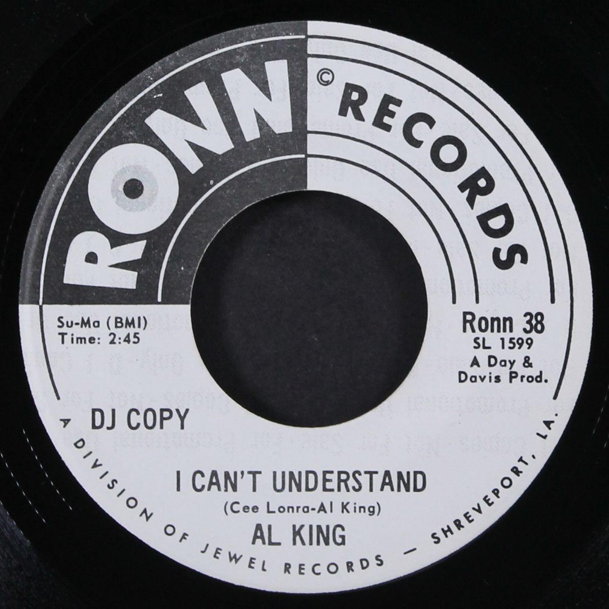 i can't understand / what you're looking for by AL KING