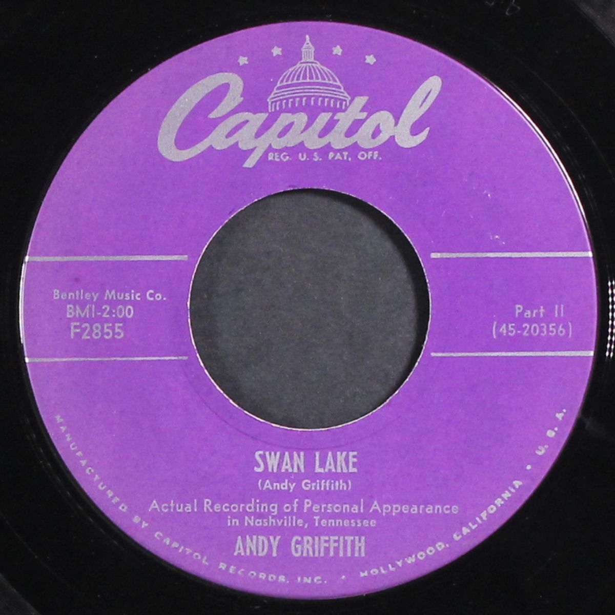 swan lake by ANDY GRIFFITH