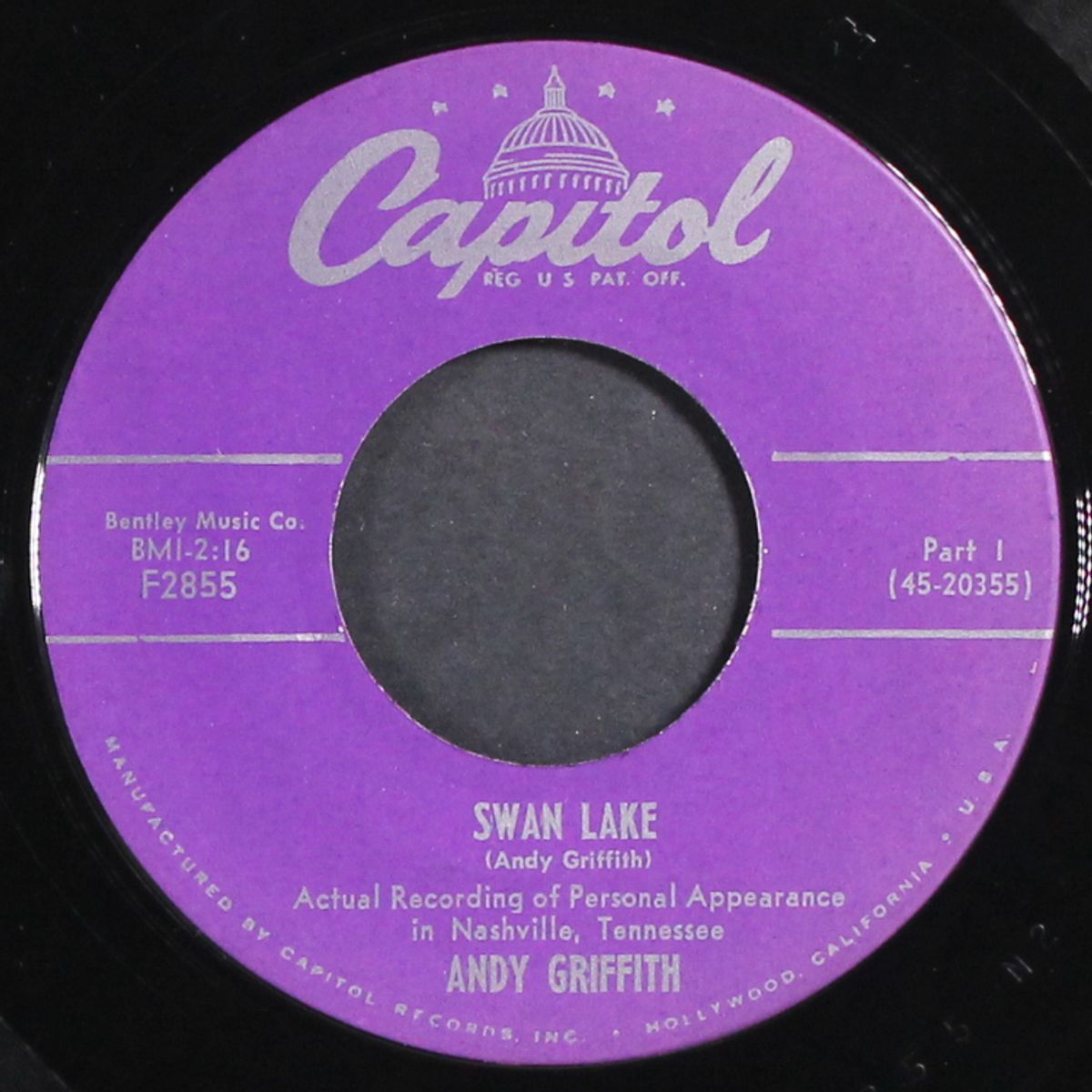 swan lake by ANDY GRIFFITH