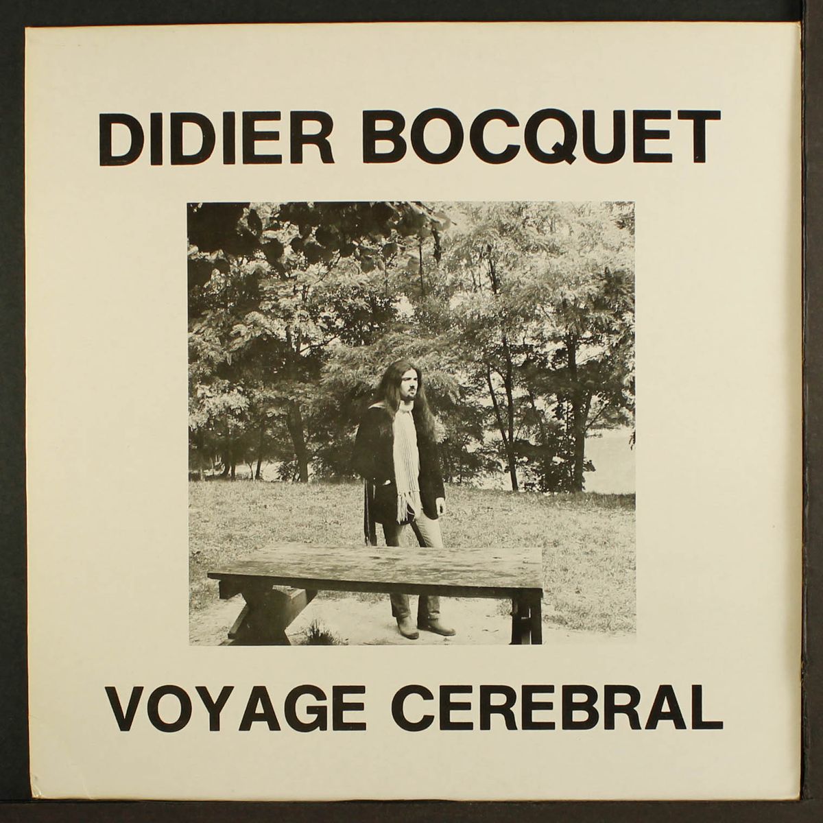 voyage cerebral by DIDIER BOCQUET