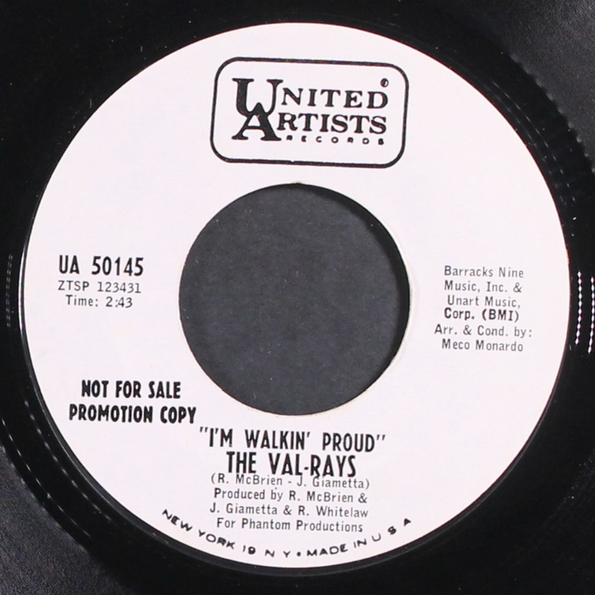 it hurts doesn't it girl / i'm walkin' proud by VAL-RAYS