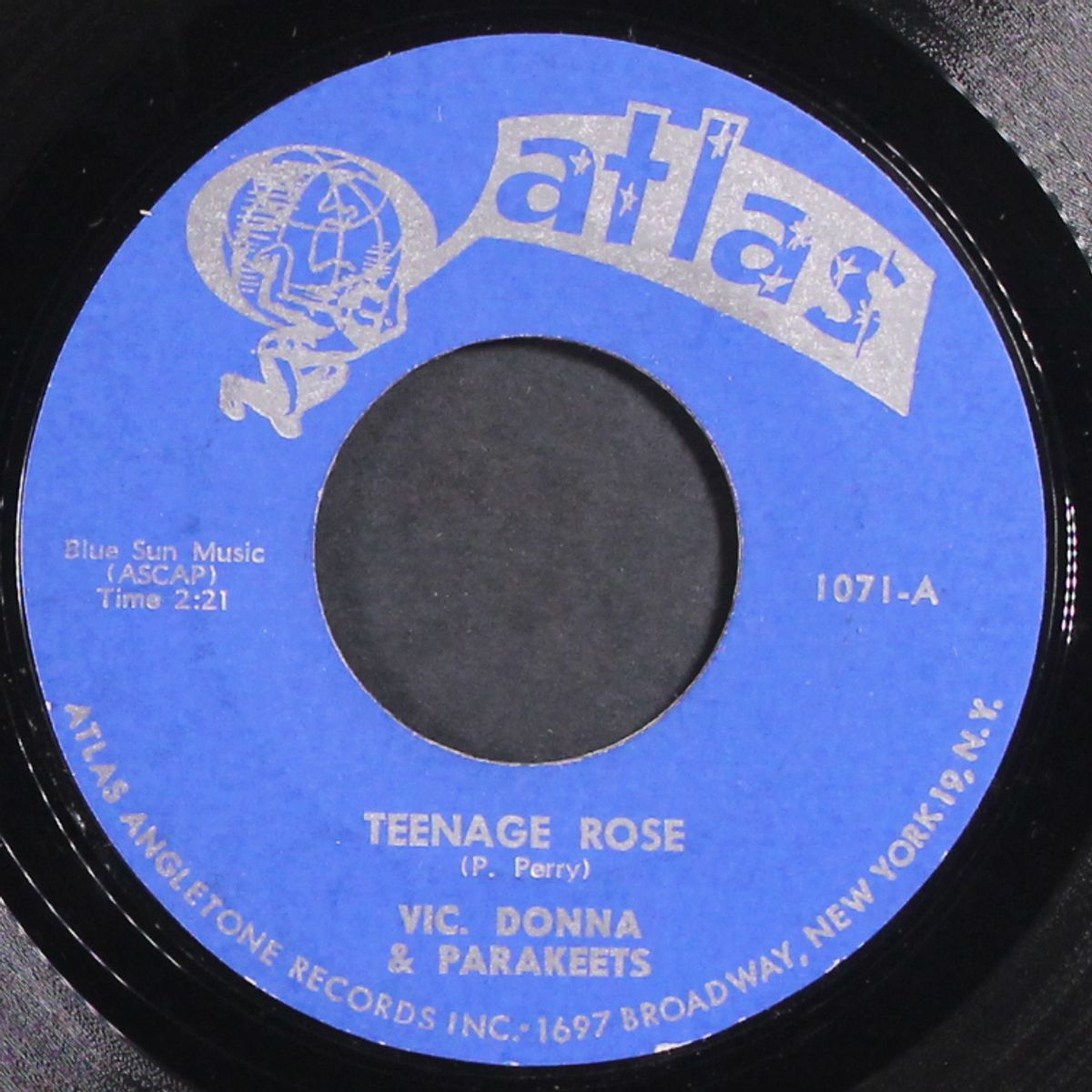 teenage rose by VIC DONNA & PARAKEETS