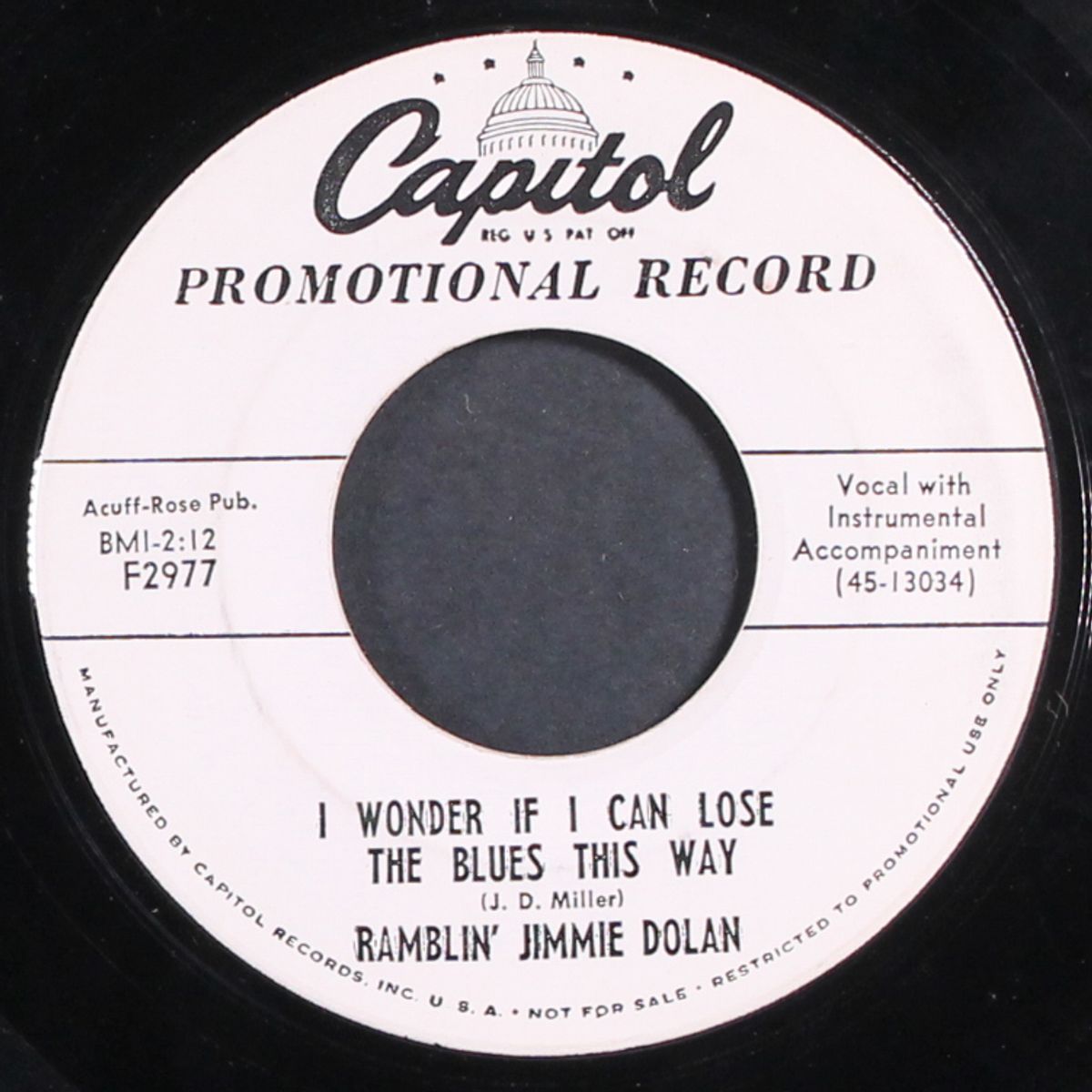 a sailor's letter / i wonder if i can lose the blues this way by RAMBLIN' JIMMIE DOLAN
