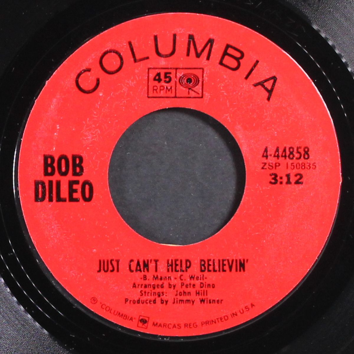 mind excursion / just can't keep believin' by BOB DILEO