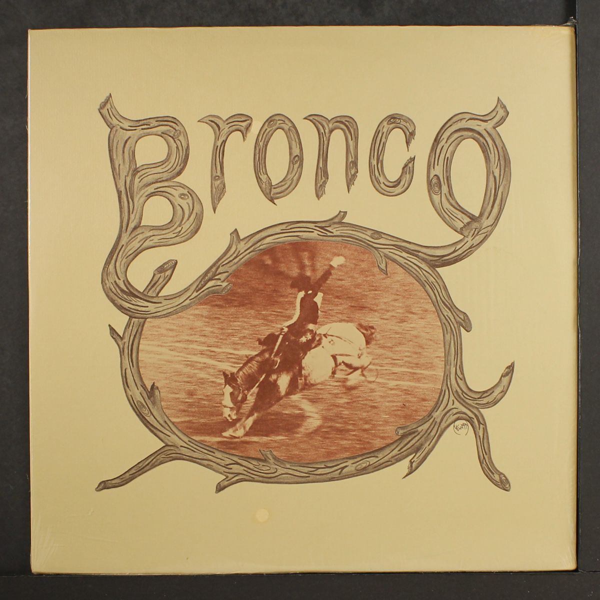 bronco by BRONCO