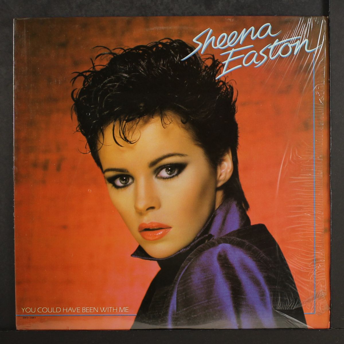 you could have been with me by SHEENA EASTON