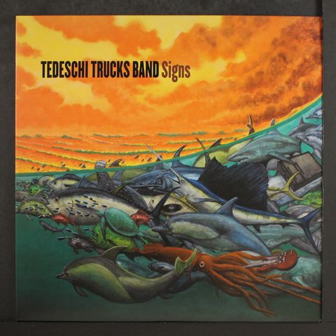 TEDESCHI TRUCKS BAND