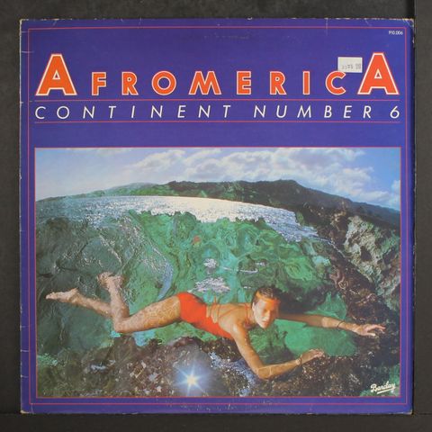 AFROMERICA