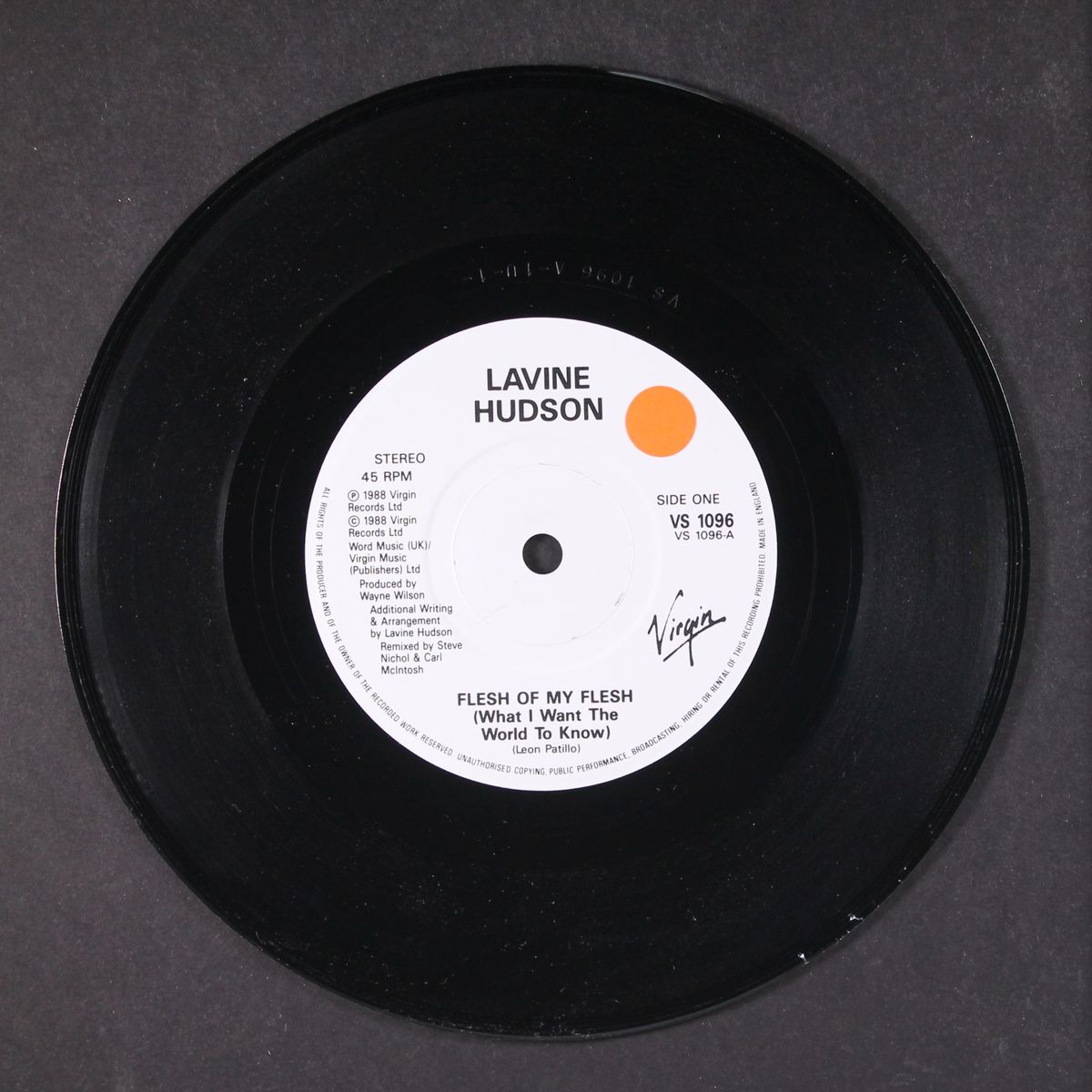 flesh of my flesh / testimony by LAVINE HUDSON