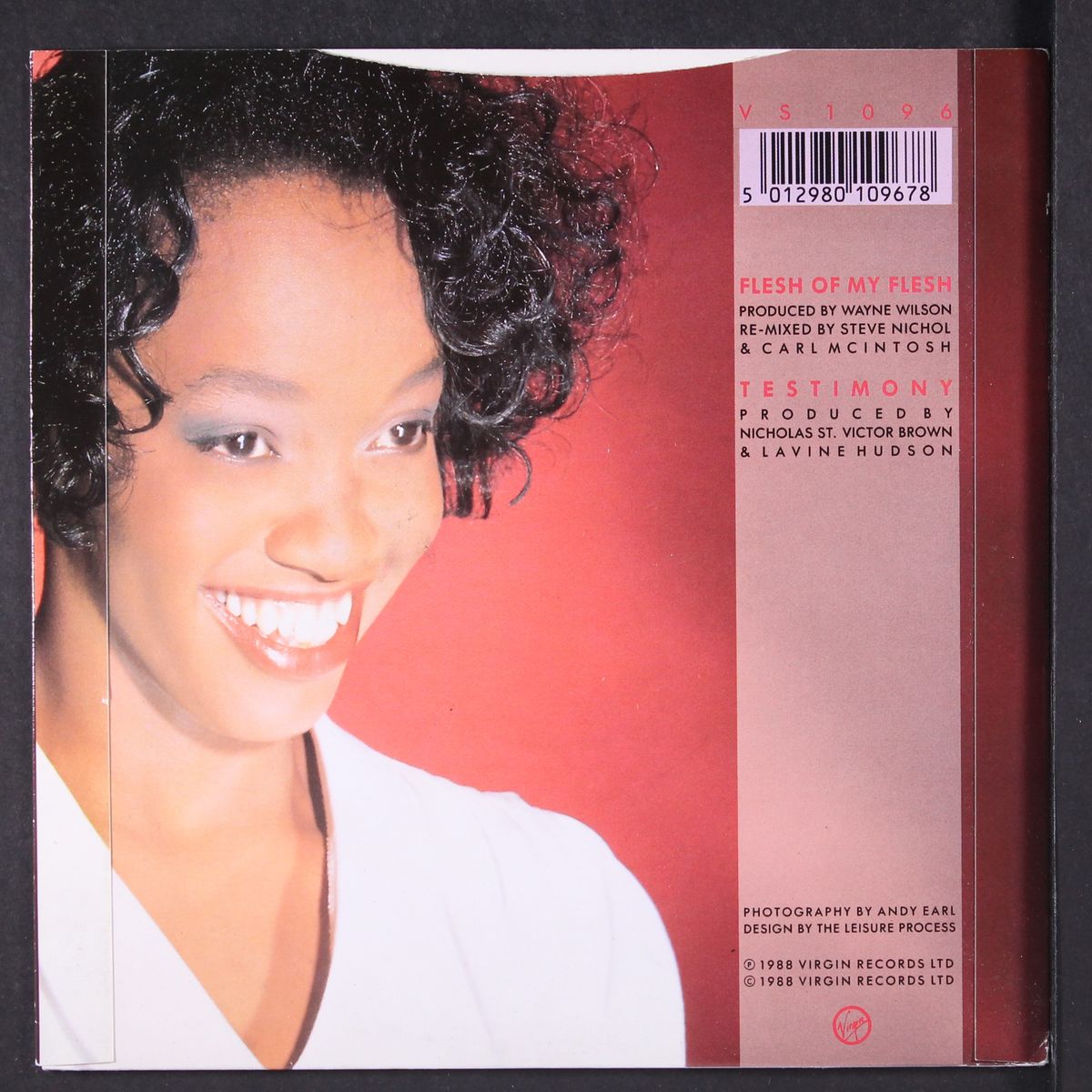flesh of my flesh / testimony by LAVINE HUDSON