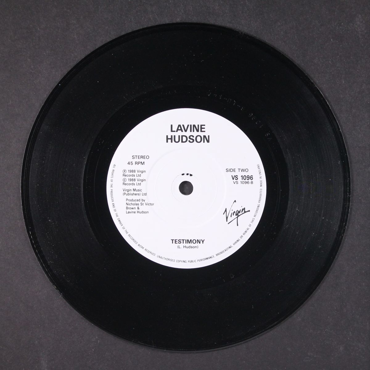 flesh of my flesh / testimony by LAVINE HUDSON
