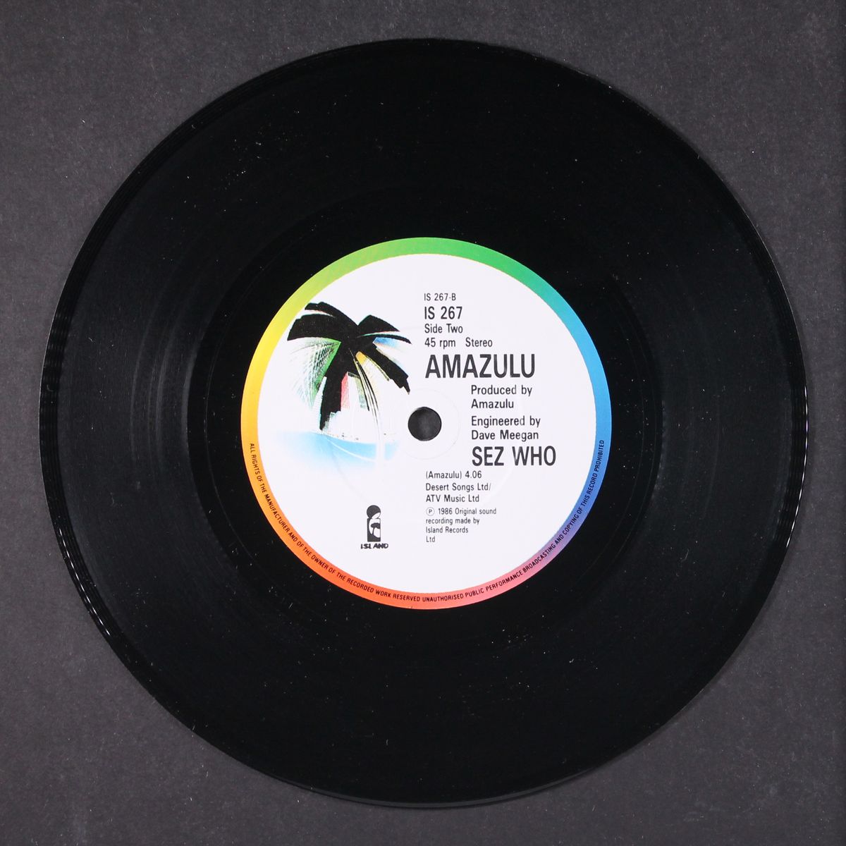 the things the lonely do / sez who by AMAZULU