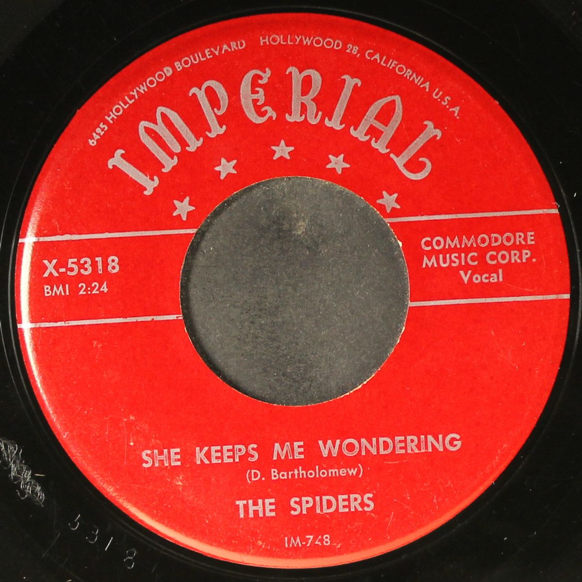 she keeps me wondering / 21 by SPIDERS