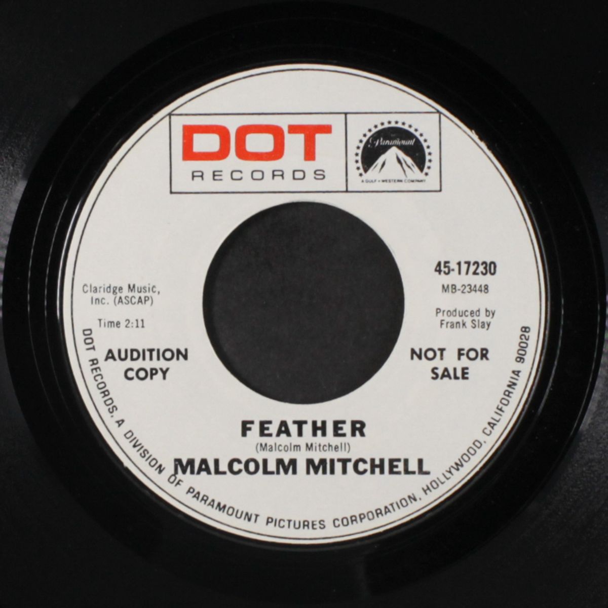 sightseer / feather by MALCOLM MITCHELL