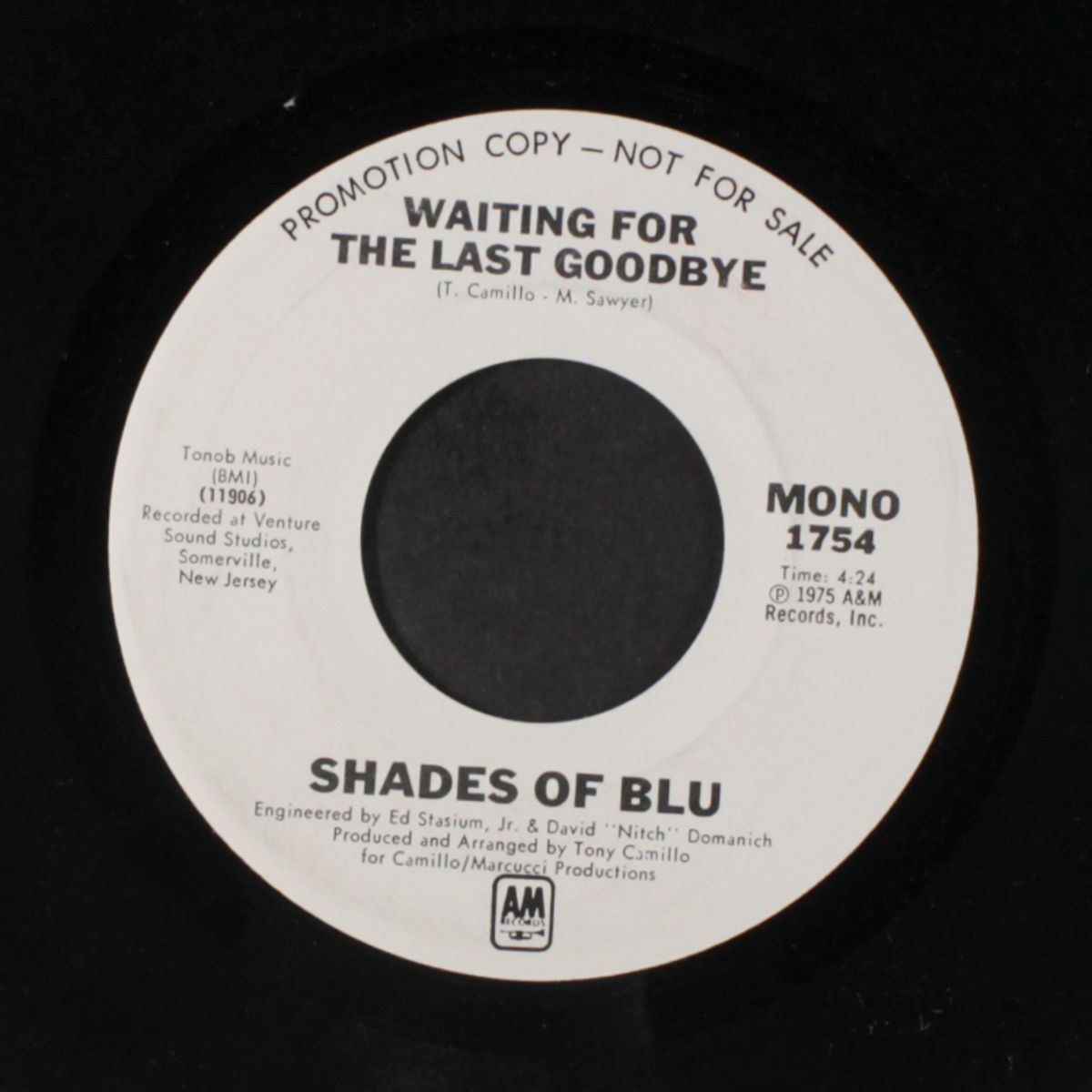 waiting for the last goodbye / mono by SHADES OF BLU