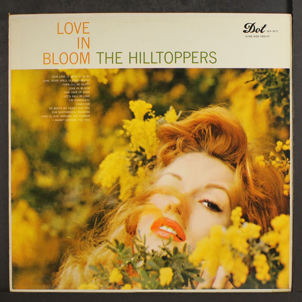love in bloom by HILLTOPPERS