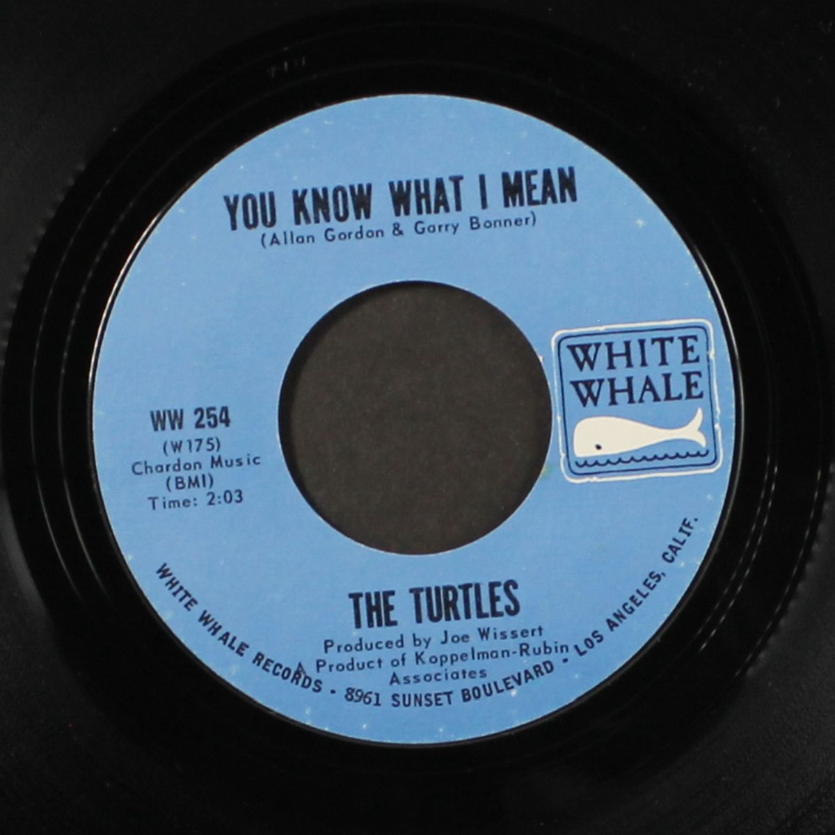 you know what i mean / rugs of woods & flowers by TURTLES