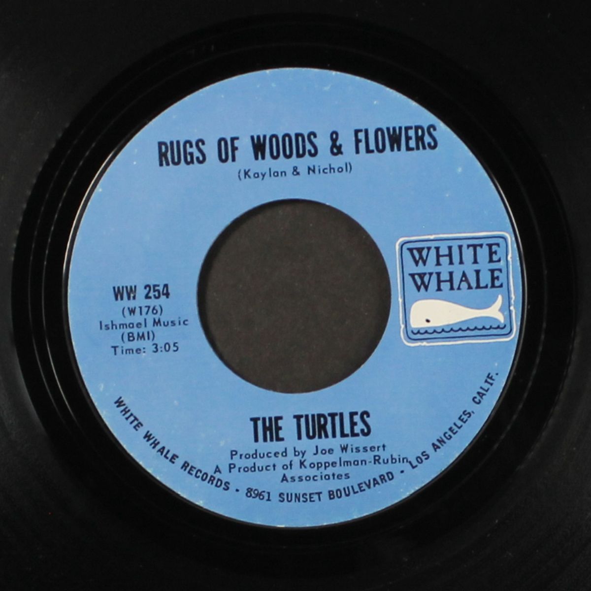 you know what i mean / rugs of woods & flowers by TURTLES