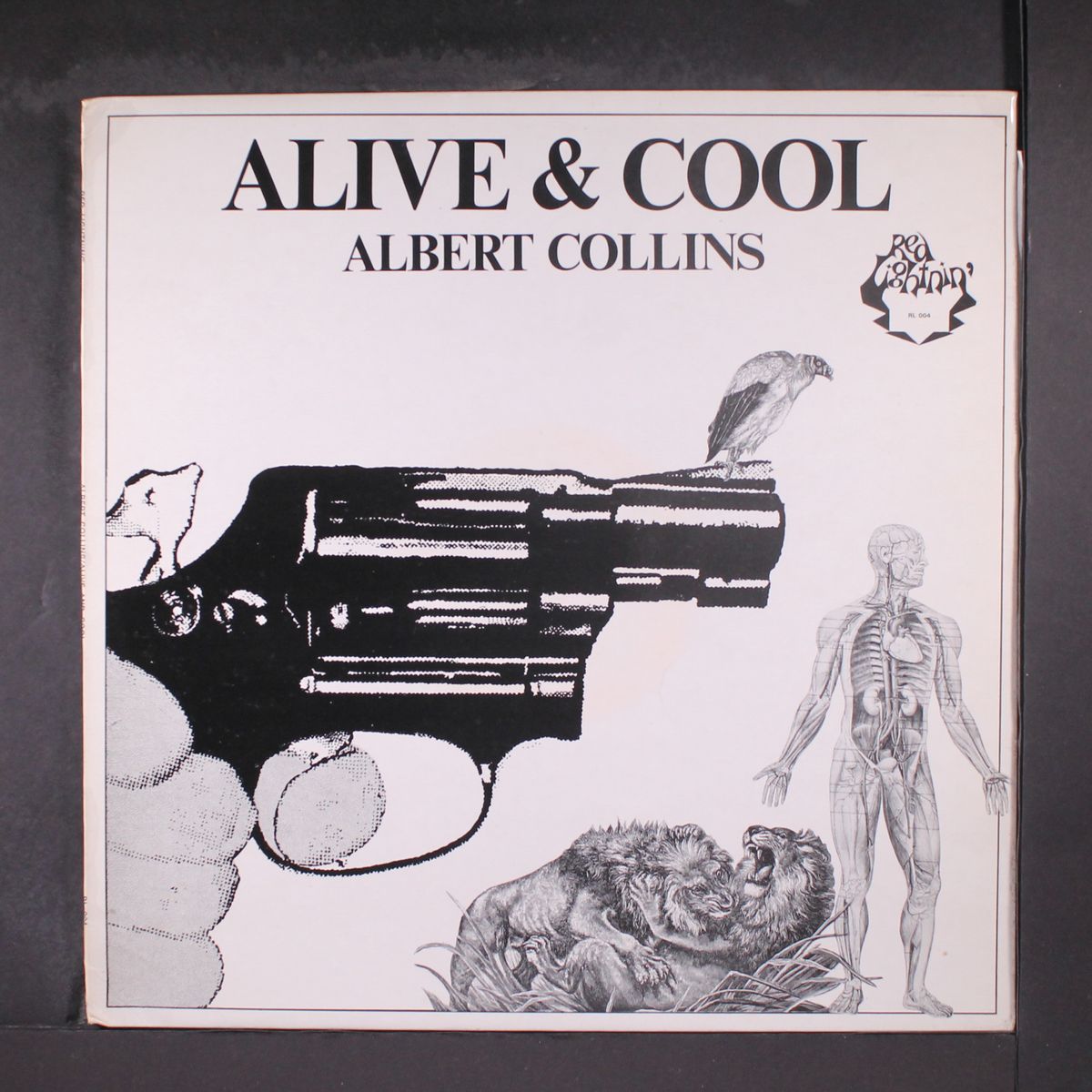 alive & cool by ALBERT COLLINS