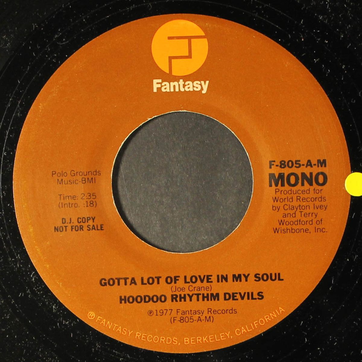 gotta lot of love in my soul / mono by HOODOO RHYTHM DEVILS