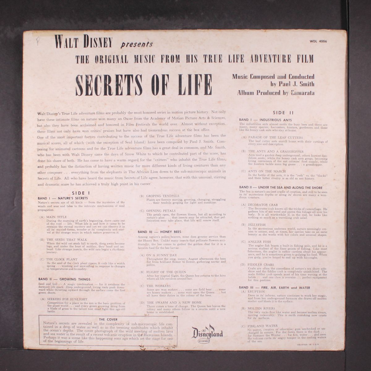 secrets of life by SOUNDTRACK