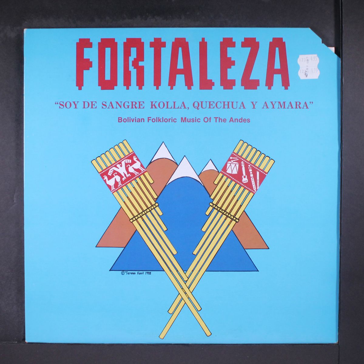 soy de sangre kolla, quechua y aymara by FORTALEZA