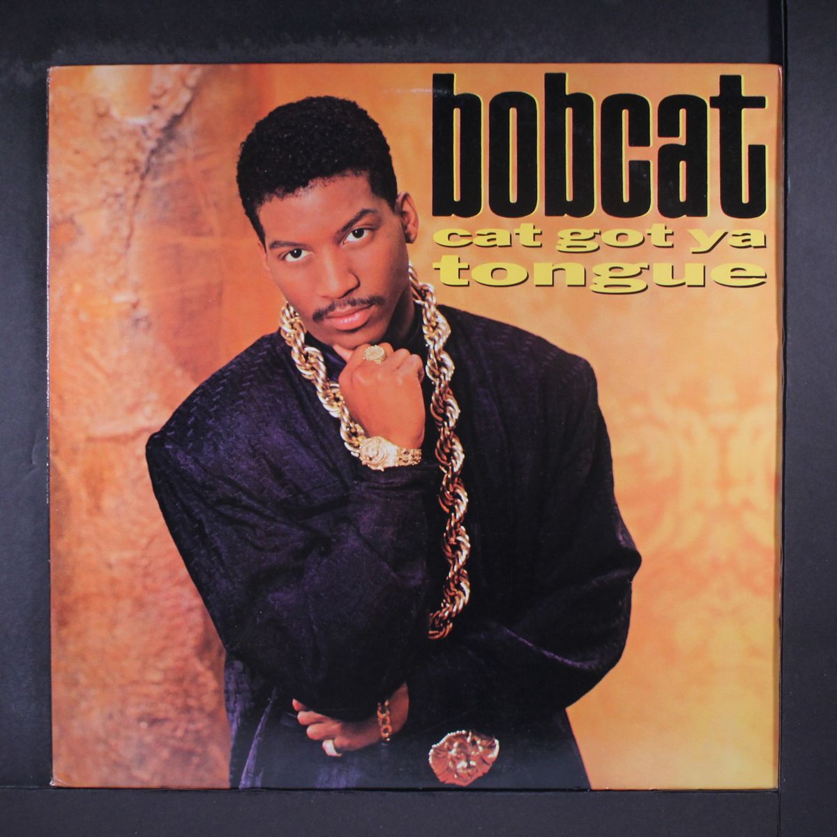 cat got ya tongue by BOBCAT