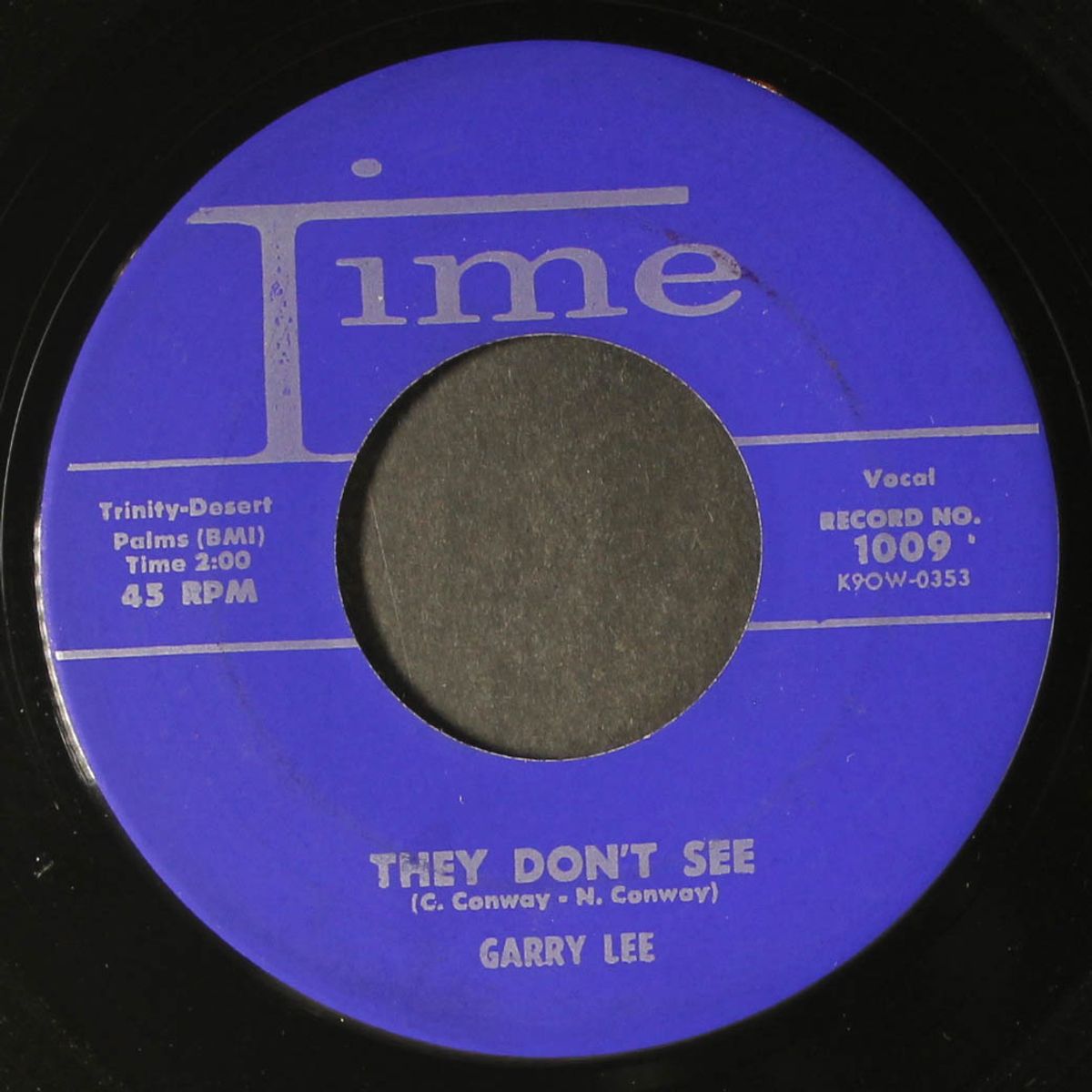why / they don't see by GARRY LEE
