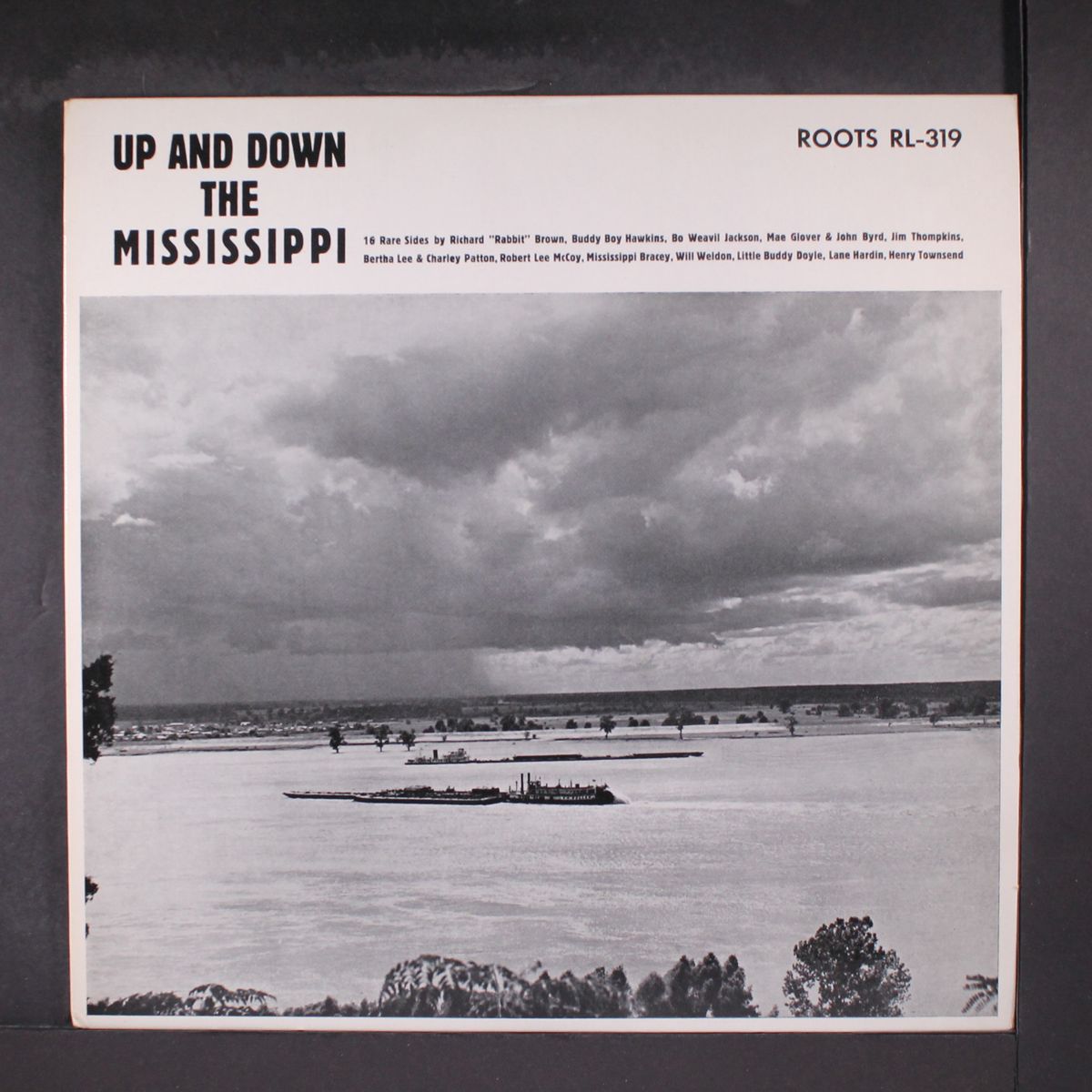 up and down the mississippi by VARIOUS