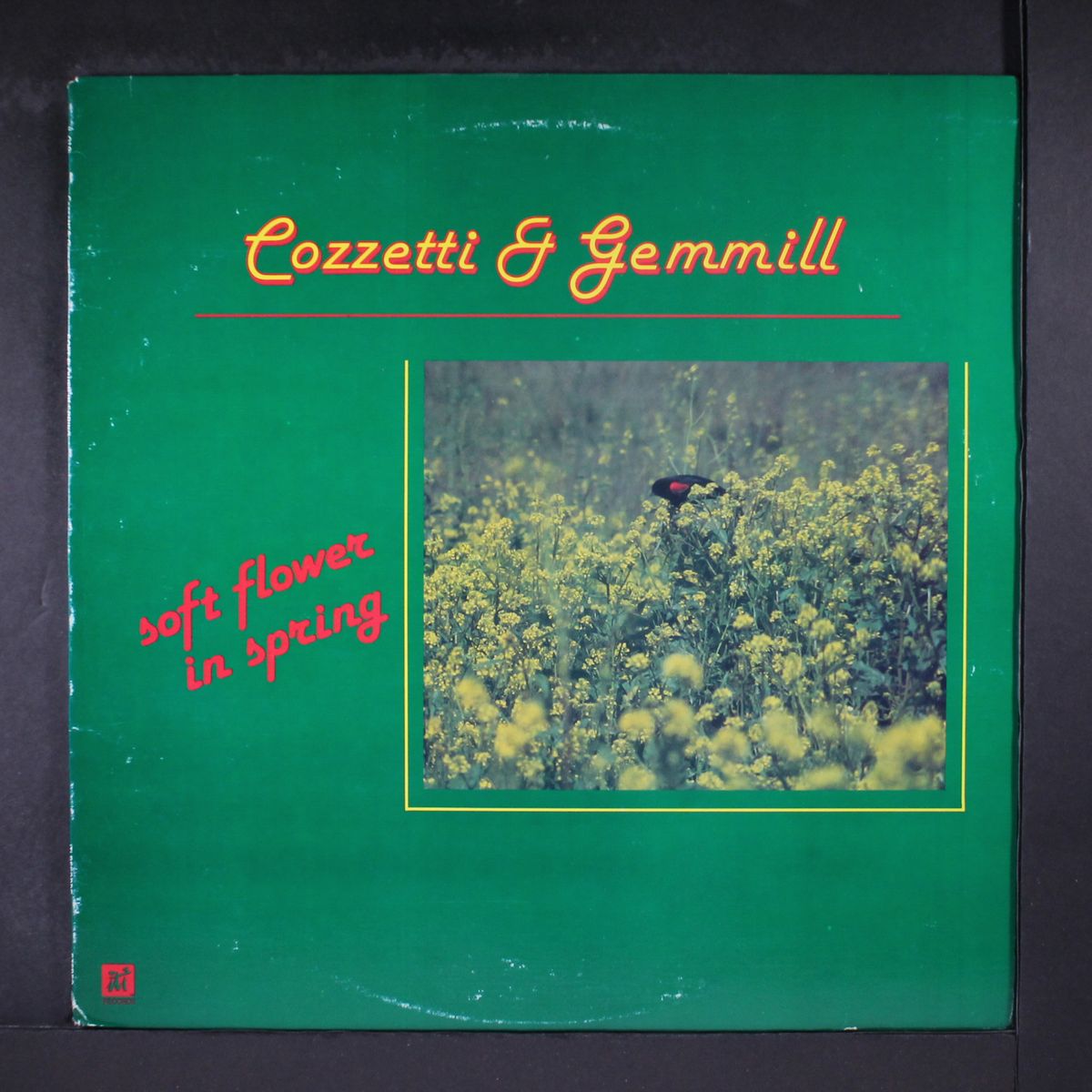 soft flower in spring by COZZETTI & GEMMILL
