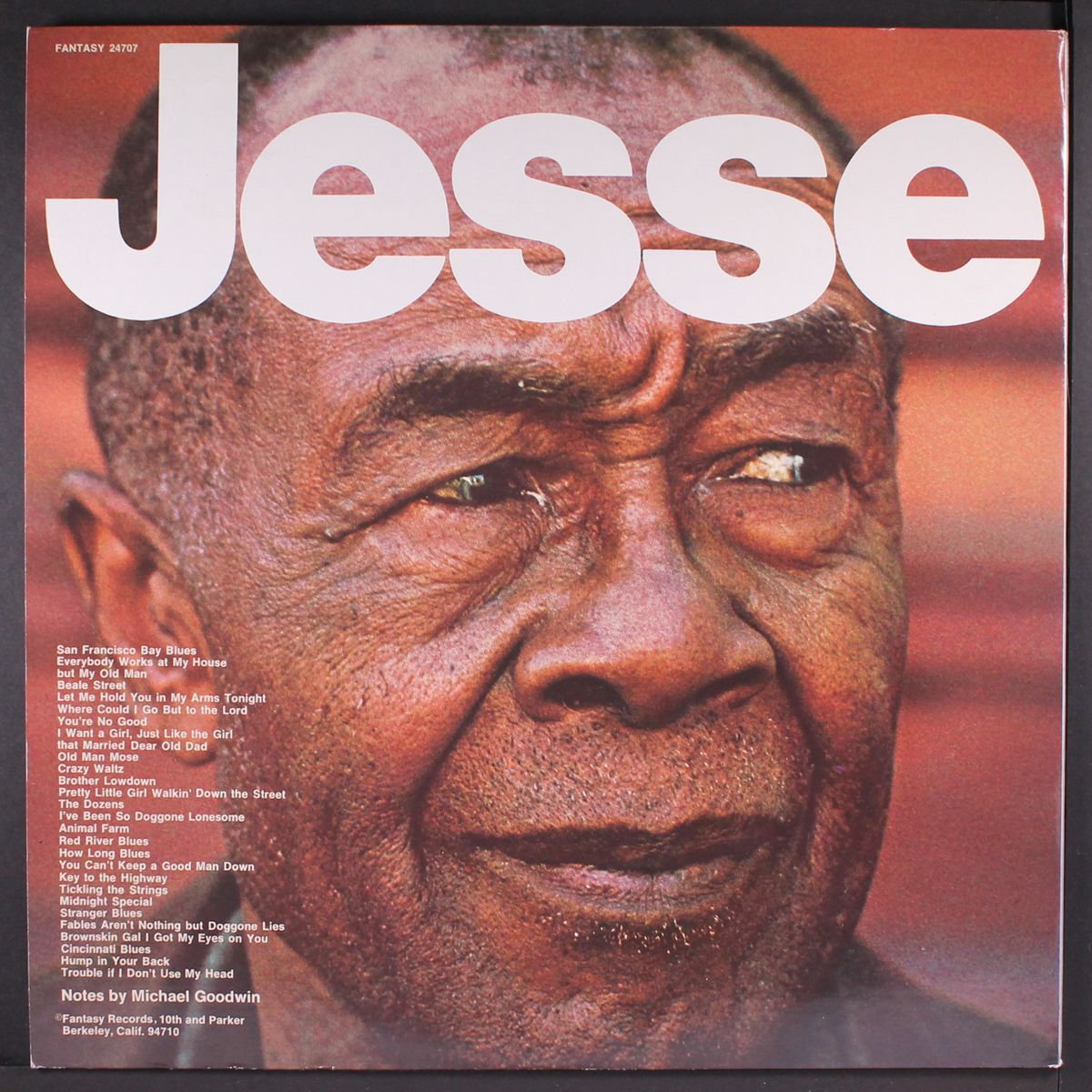 brother lowdown by JESSE FULLER