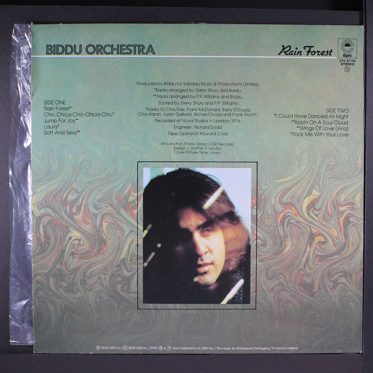 rain forest by BIDDU ORCHESTRA