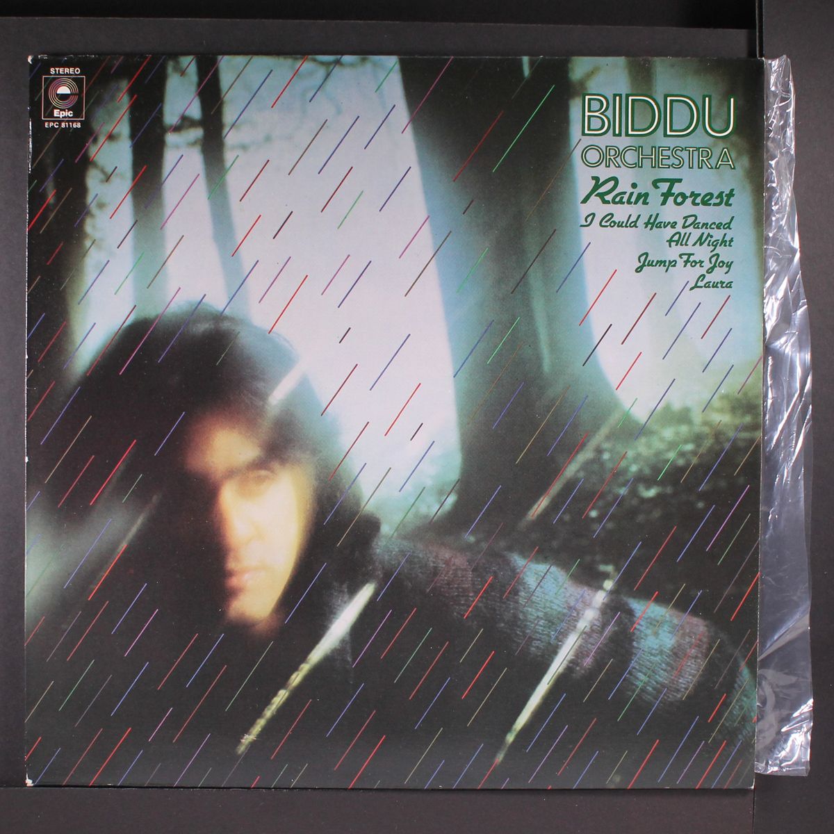 rain forest by BIDDU ORCHESTRA