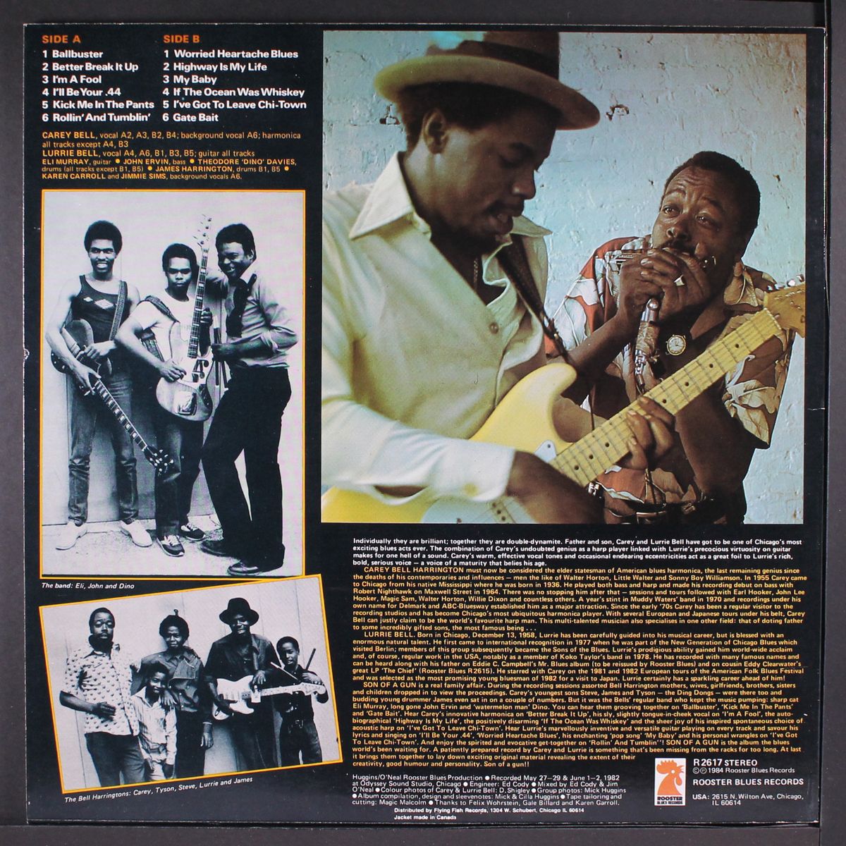 son of a gun by CAREY & LURRIE BELL